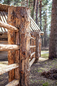 大木栅栏柱将旧木屋围在森林里