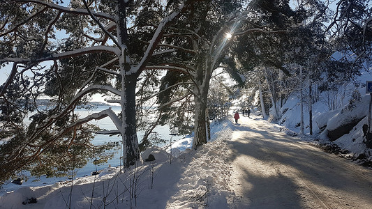 在斯堪的纳维亚半岛的冬日里，人们可以瞥见海边一条绿树成荫的街道