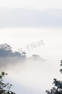 在热带雨林泰国的热带山雾。