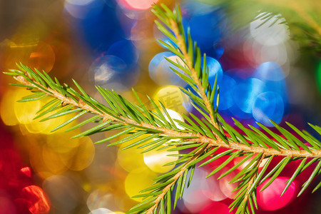 绿色圣诞松树枝，背景上有针，色彩缤纷的节日质感效果圣诞装饰品 bokeh 庆祝新年快乐