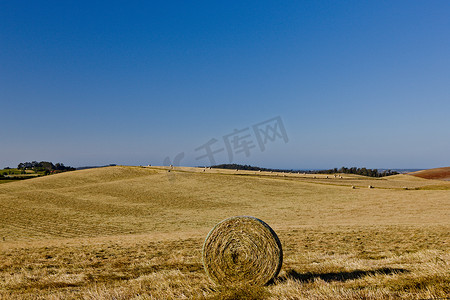 秋天丰收背景摄影照片_在领域的圆的干草捆