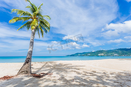 热带海滩上美丽椰子树的暑假和假期背景概念。