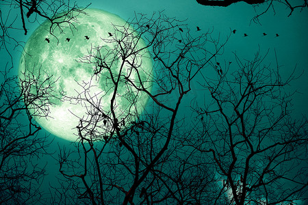 夜空中的超级鲟鱼绿月和剪影鸟
