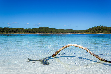 位于昆士兰阳光下的弗雷泽岛上的麦肯齐湖是一个美丽的淡水湖，深受前往弗雷泽岛的游客欢迎。