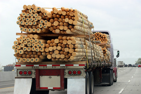 传达摄影照片_运输木材的卡车