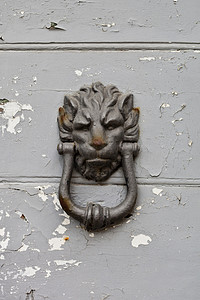 在木灰色门的古老意大利狮子形状的门环。
