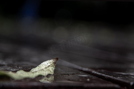 特写镜头拍摄了旧棕色质朴的木板地板和雨后的落叶，并反射了灯光。