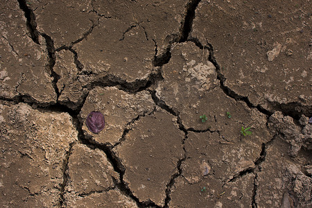 开裂的粘土地面进入旱季。
