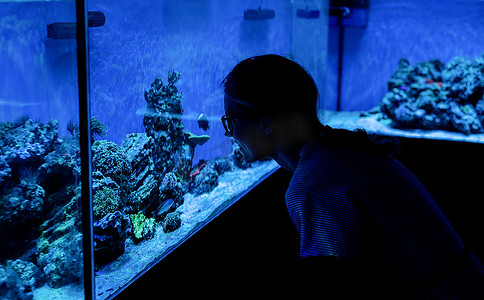 干煎带鱼摄影照片_在海洋水族馆观看带鱼的水族馆的女人剪影