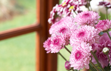 带复制空间的美丽粉色花朵