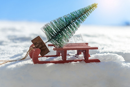 运载一棵小圣诞树的红色雪橇
