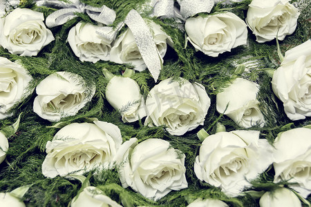 结婚胸花摄影照片_白玫瑰胸花
