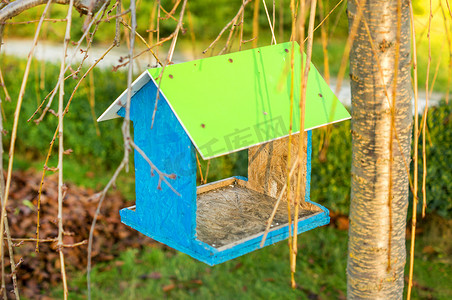 鸟类饲养员摄影照片_绿色木质燕窝盒