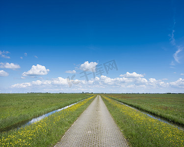 砖砌公路摄影照片_荷兰蓝天下开着野黄花的砖砌乡间小路