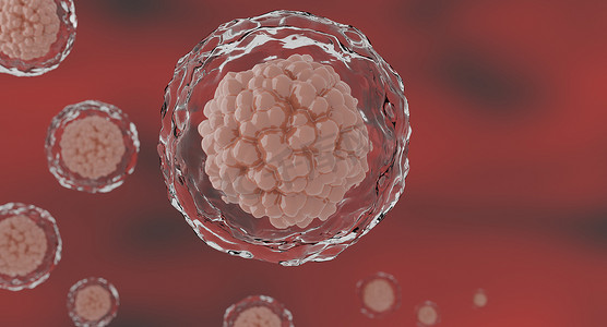 造福人类摄影照片_3d ：人类细胞或胚胎干细胞显微镜背景。 
