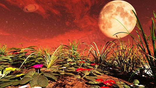 花朵月亮摄影照片_红色星球上的花朵。 