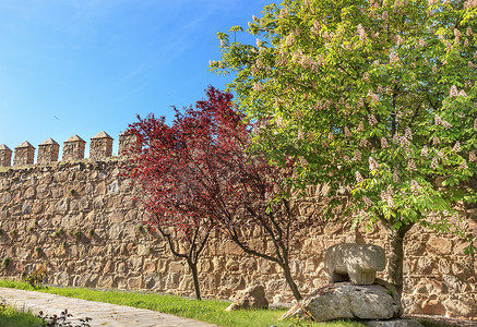 古老的公牛雕像在城堡墙壁上的燕子在阿维拉卡斯提尔西班牙