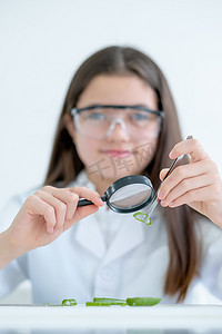 年轻的白人科学家女孩的手拿着放大镜，在实验室或教室里看到芦荟组织的更多细节。
