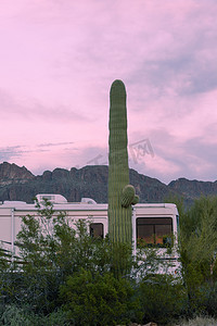 沙漠露营地房车 RV Saguaro Cactus