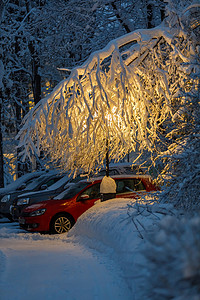 树枝灯笼摄影照片_一棵被雪覆盖的树的大树枝盖住了汽车。