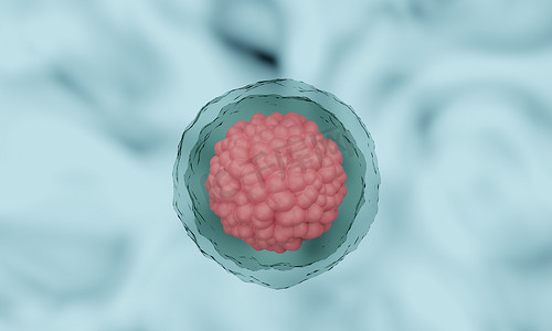 单元入户大堂摄影照片_3d ：人类细胞或胚胎干细胞显微镜背景。 