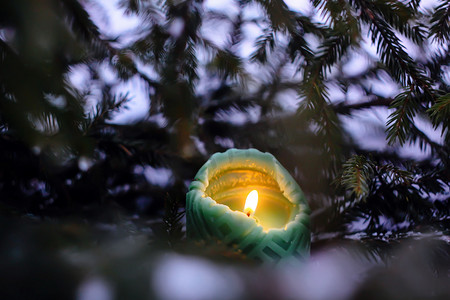 圣诞装饰-绿色蜡烛和冷杉树枝