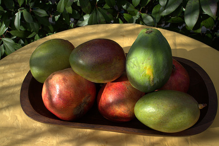 芒果凤梨摄影照片_芒果、木瓜、鳄梨和石榴