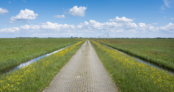 砖摄影照片_荷兰蓝天下开着野黄花的砖砌乡间小路