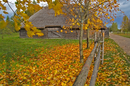 秋天的乡村风景