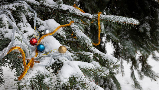 圣诞树枝摄影照片_雪地里的圣诞树枝上有玩具和金属丝。