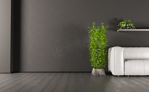 沙发摄影照片_带有植物和沙发的深色墙壁模型