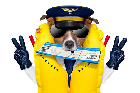 航空公司飞行员乘务员登记票