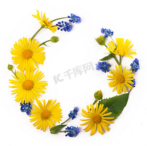 黄色背景框摄影照片_白色背景上由黄蓝花桉树枝制成的花组合圆框