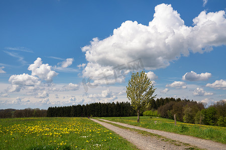 带远足小径的全景景观，春天，德国 Bergisches Land