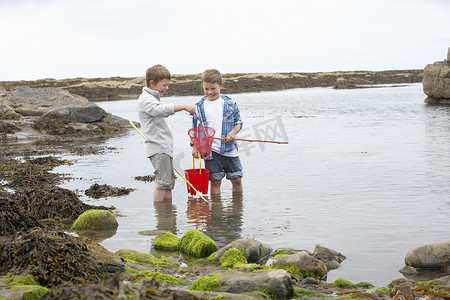 捡摄影照片_两个男孩在海滩上捡贝壳