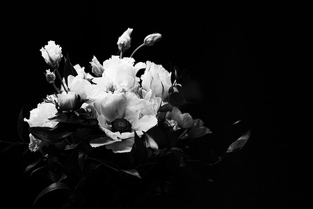 创造性活动摄影照片_作为美好的插花、创造性的花和植物学设计的花束，经典黑白单色