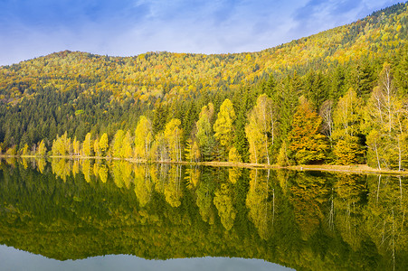 湖中倒影的金色森林
