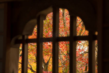 从日本京都的日本传统窗户看秋季的彩色枫叶