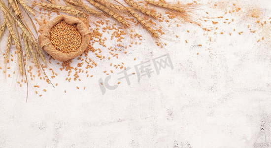 麦穗和小麦籽粒设置在白色混凝土背景上。