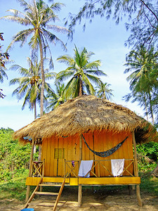 在一个热带海岛上的木平房