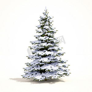 白色圣诞雪树