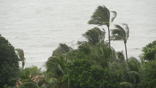 备战台风摄影照片_帕布台风，海洋海岸，泰国。