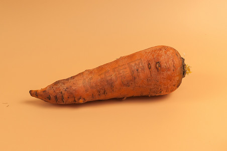米色背景泥中的有机胡萝卜，表面未剥皮的甜胡萝卜，简约风格的花园小胡萝卜，维生素，素食，健康饮食理念。复制空间
