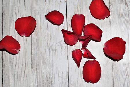 带纹理的米色背景上的红色玫瑰花瓣
