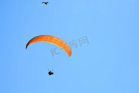 悬挂滑翔机摄影照片_悬挂式滑翔机和海鸥