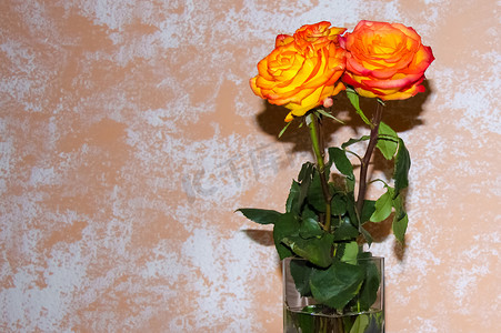 桌上花瓶里插着鲜亮的玫瑰。