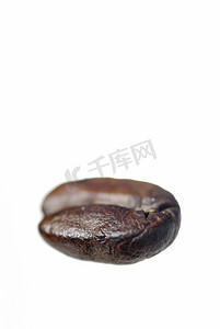 在白色背景的一颗阿拉比卡咖啡豆。