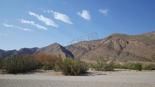沙漠的树摄影照片_Hoanib 河床的山地景观