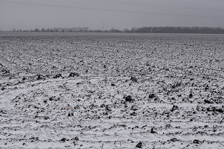 砥砺深耕摄影照片_一片被雪覆盖的犁过的农田。