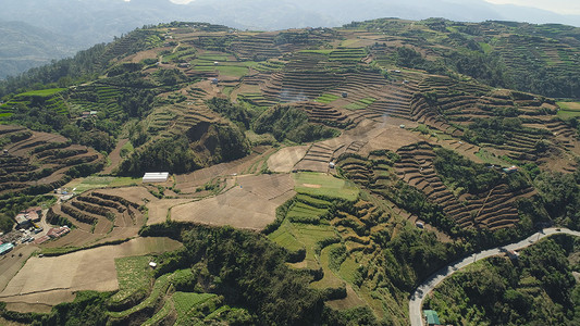 省份版图摄影照片_菲律宾吕宋岛山区省份的农田